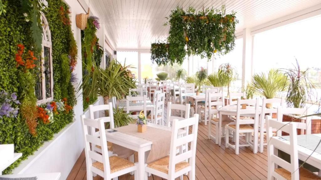 Mamaia Fratelli Summerland Luaran gambar